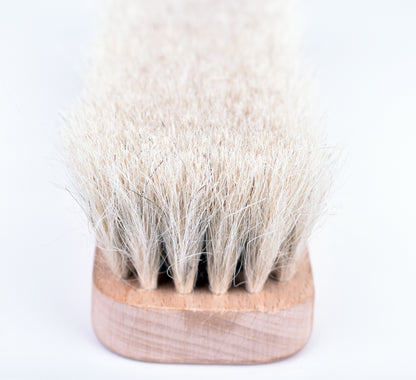 Countertop Brush